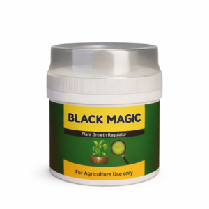 Black Magic